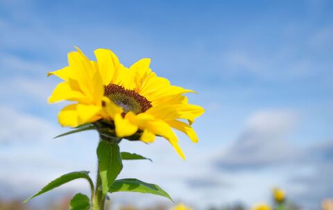 Bis zu 20 Grad am Donnerstag