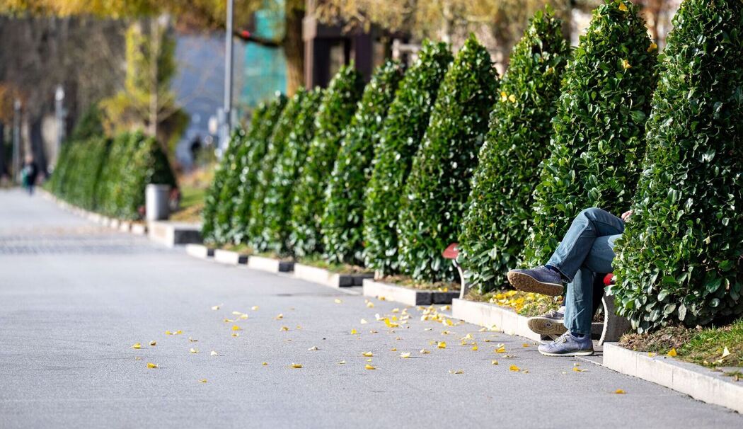 Herbst in Passau Herbst in Passau