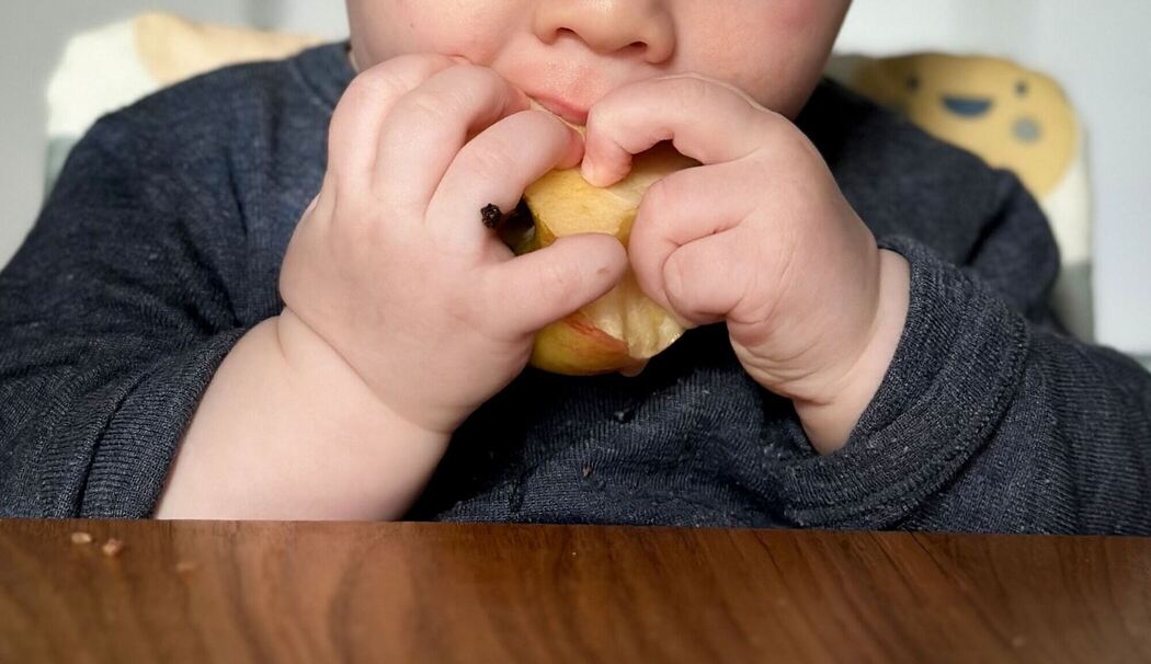 Ein sieben Monate altes Babz isst einen Apfel Ein sieben Monate altes Babz isst einen Apfel