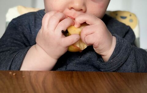 Ein sieben Monate altes Babz isst einen Apfel