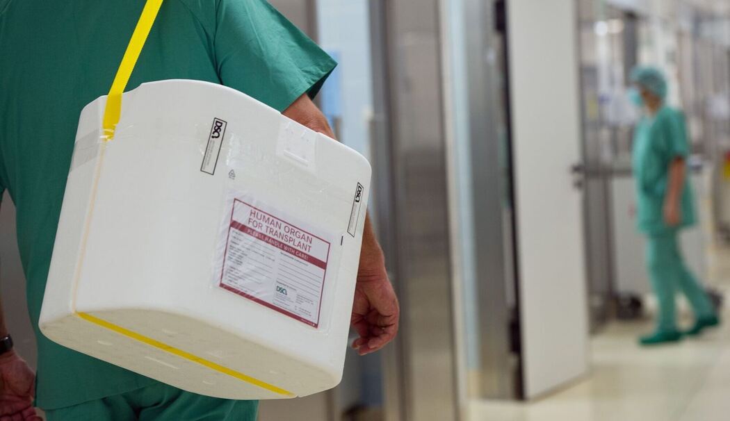 Organspende Organspende
