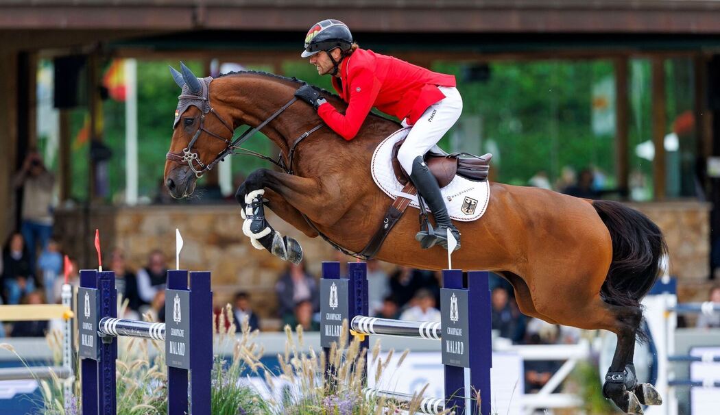 Pferdesport/Springen: Europameisterschaft Pferdesport/Springen: Europameisterschaft