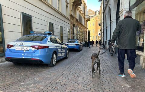 Hunde in Bozen