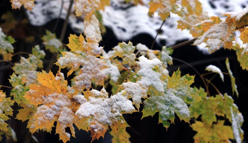 Schnee im Voralpenland Schnee im Voralpenland