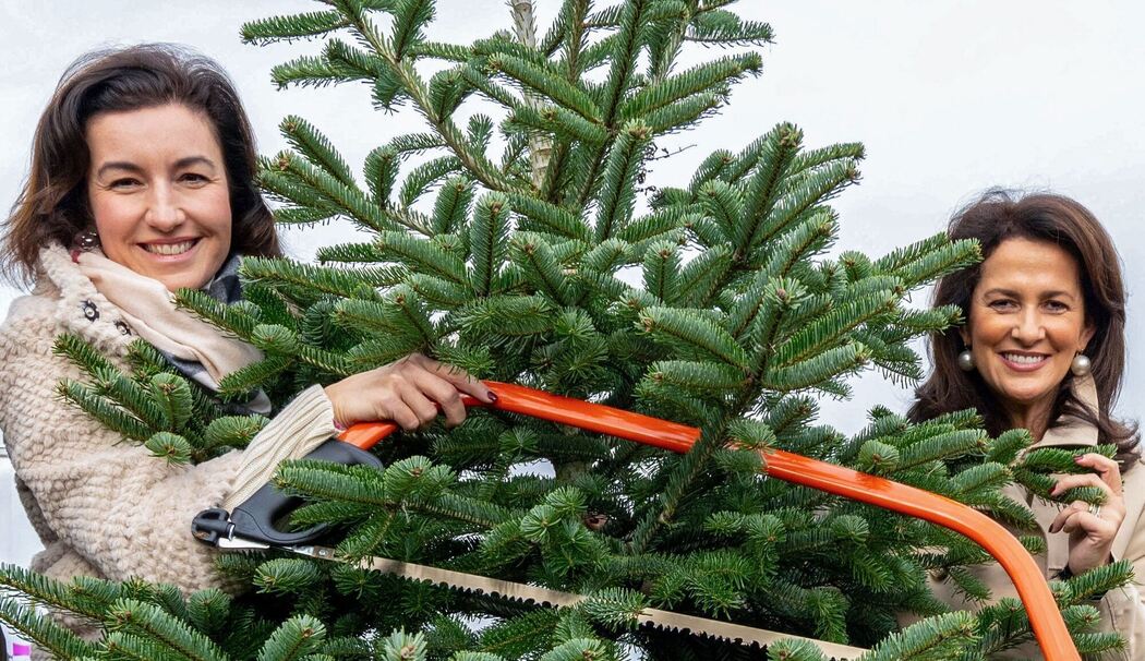 Eröffnung bayerische Christbaumsaison Eröffnung bayerische Christbaumsaison