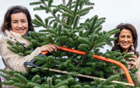 Eröffnung bayerische Christbaumsaison
