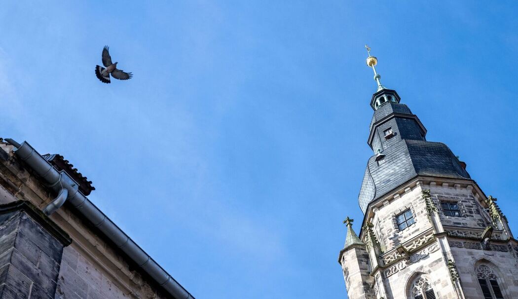 Buß- und Bettag Buß- und Bettag