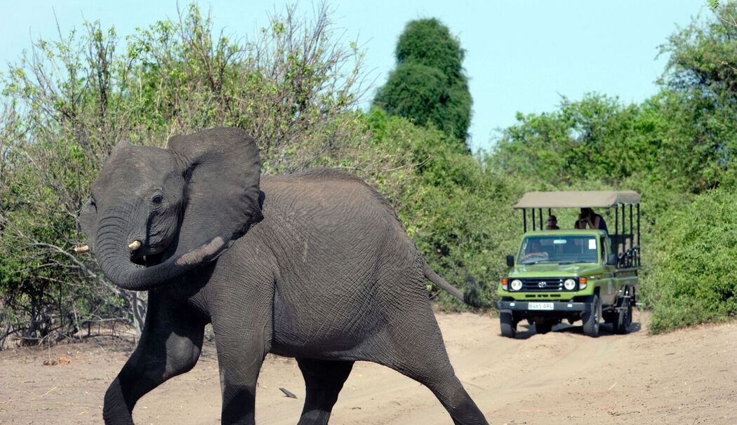 Spaniens Altkönig Juan Carlos Spaniens Altkönig Juan Carlos