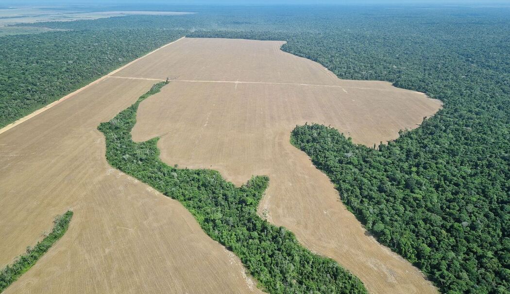 Für Sojaanbau gerodete Fläche im Amazonas-Regenwald Für Sojaanbau gerodete Fläche im Amazonas-Regenwald