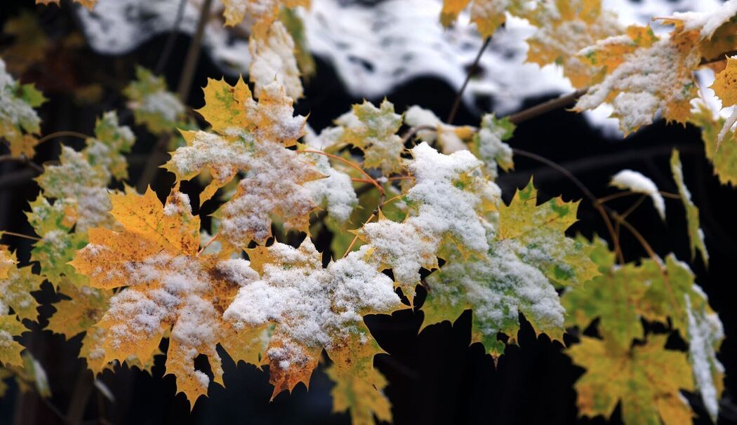 Schnee im Voralpenland Schnee im Voralpenland