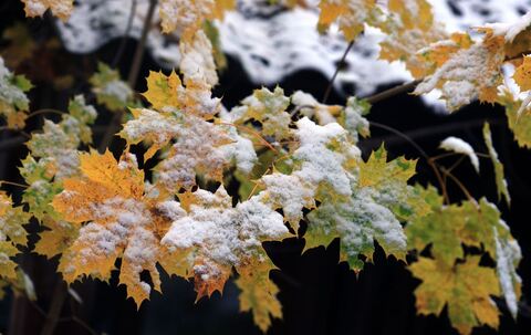 Schnee im Voralpenland