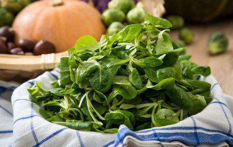 Feldsalat liegt in einer Schüssel