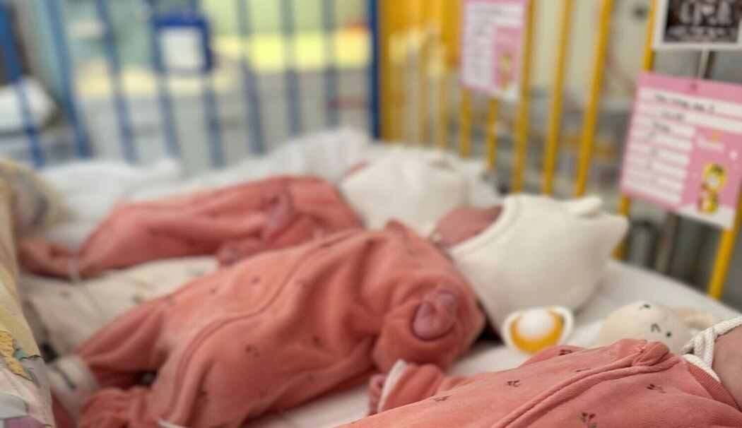 Seltene Drillinge in Böblingen