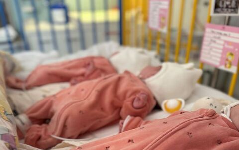 Seltene Drillinge in Böblingen