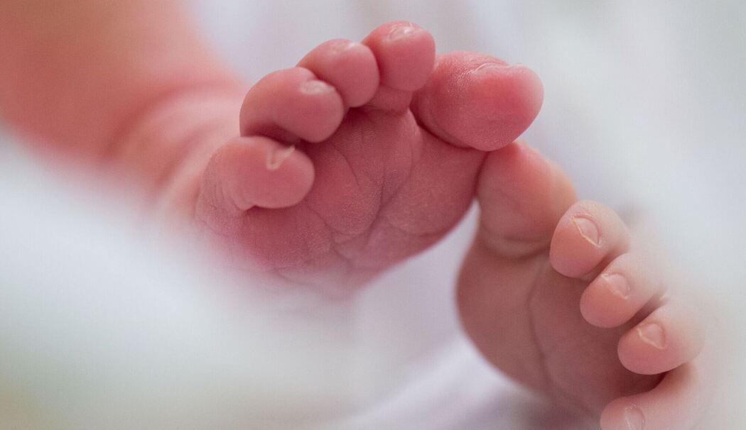 Illustration - Geburten