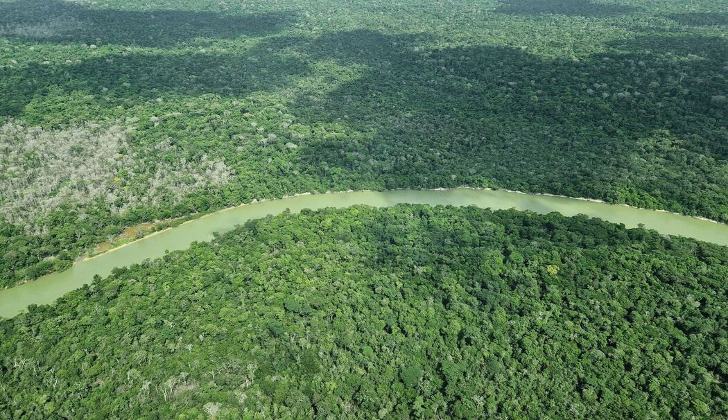 Überflug über das Amazonasgebiet