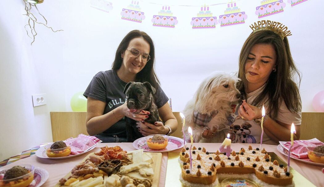 Hunde-Café in Beirut