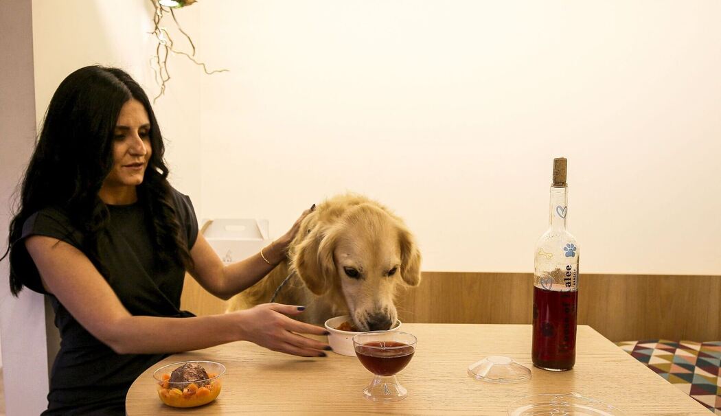 Hunde-Café in Beirut