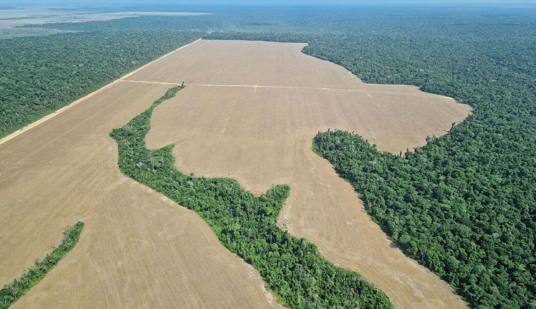 Für Sojaanbau gerodete Fläche im Amazonas-Regenwald Für Sojaanbau gerodete Fläche im Amazonas-Regenwald