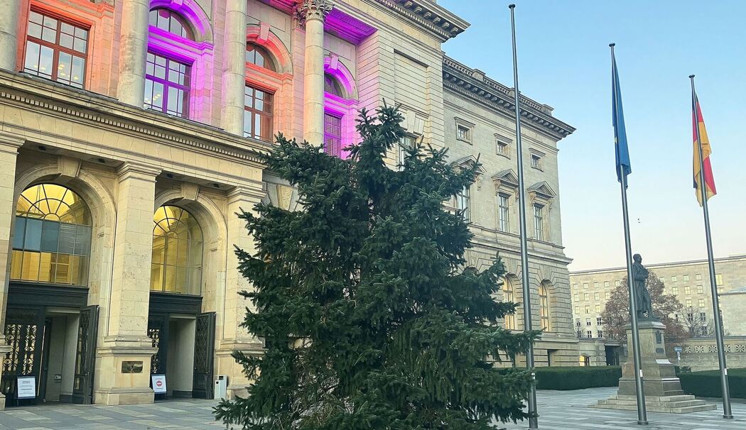 Weihnachtsbaum vor dem Abgeordnetenhaus