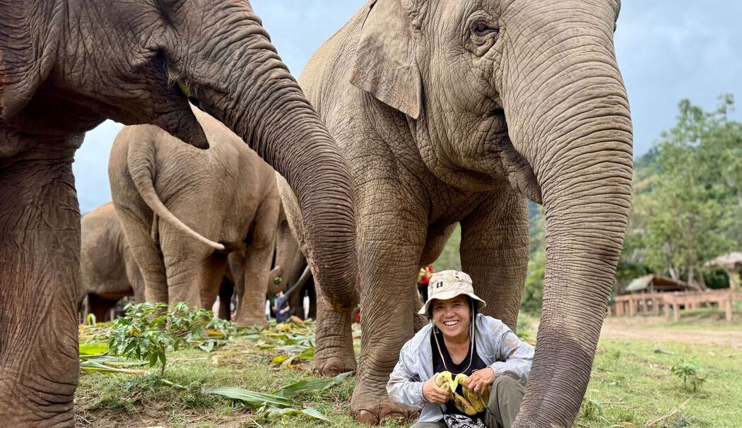 Elefantenflüsterin Saengduean «Lek» Chailert