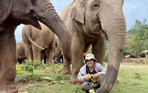 Elefantenflüsterin Saengduean «Lek» Chailert