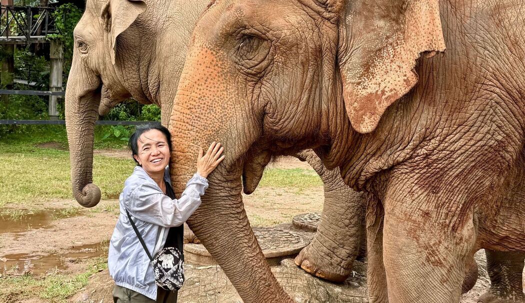 Elefantenflüsterin Saengduean «Lek» Chailert