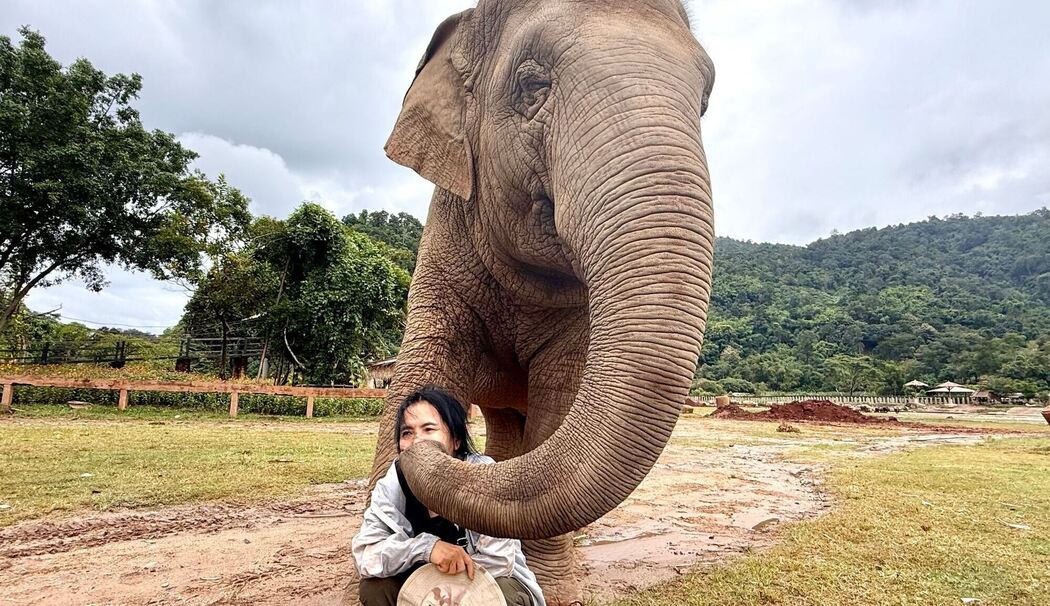 Elefantenflüsterin Saengduean «Lek» Chailert