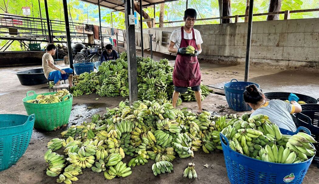 Essensvorbereitungen