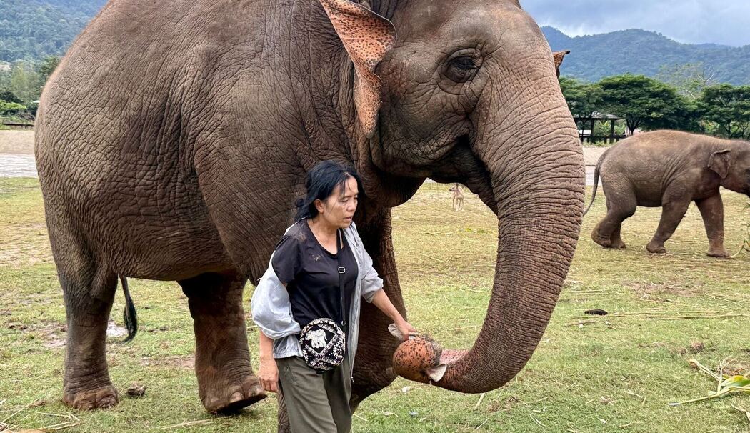 Elefantenflüsterin Saengduean «Lek» Chailert