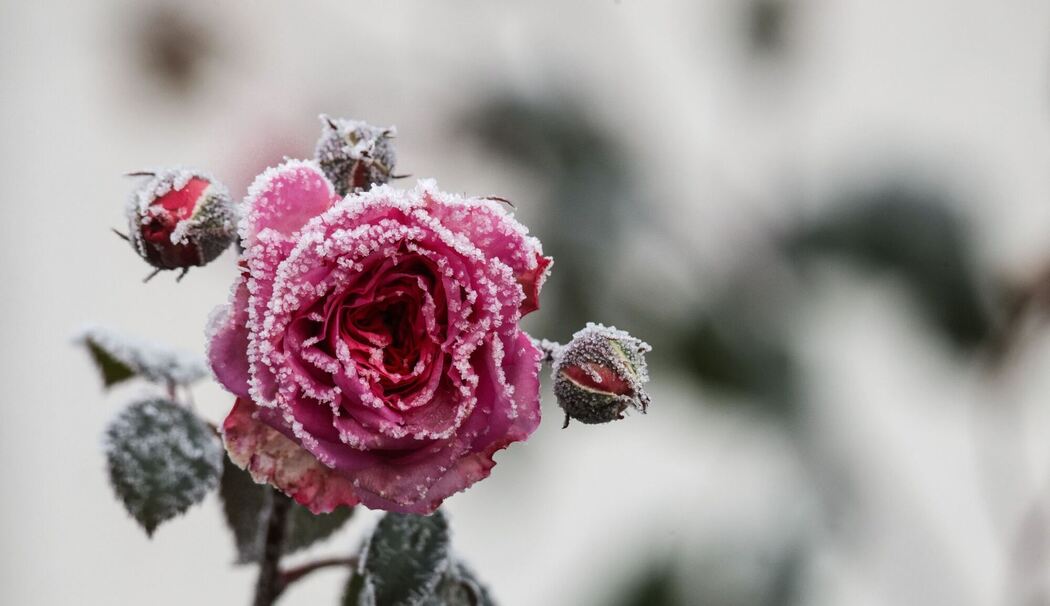 Wetter in Baden-Württemberg