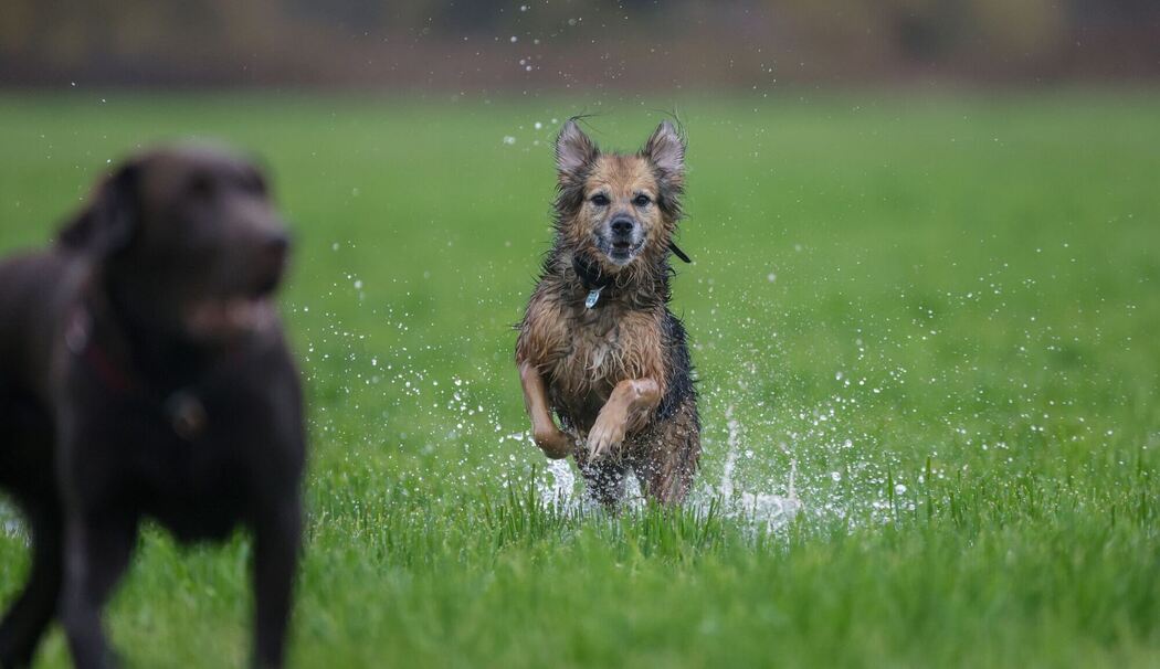 Wetter in Baden-Württemberg