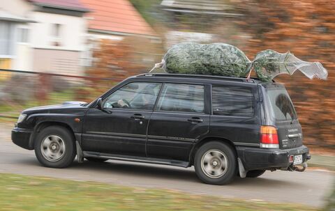 Auto transportiert einen Weihnachtsbaum auf dem Dach