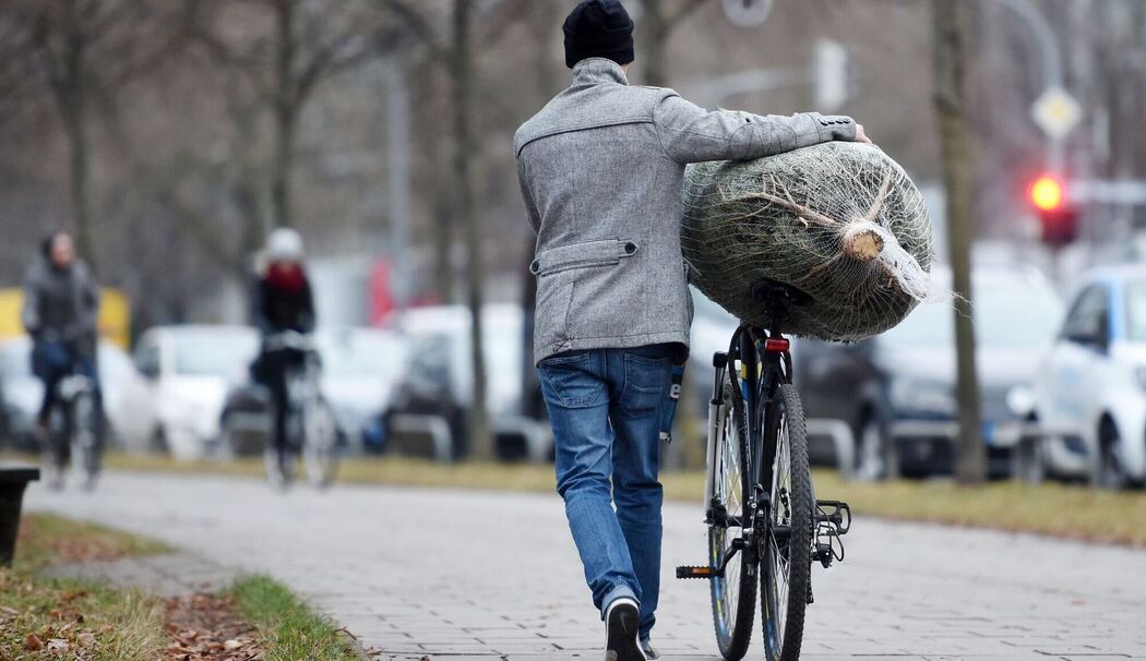 Mann transportiert einen Weihnachtsbaum auf dem Fahrrad