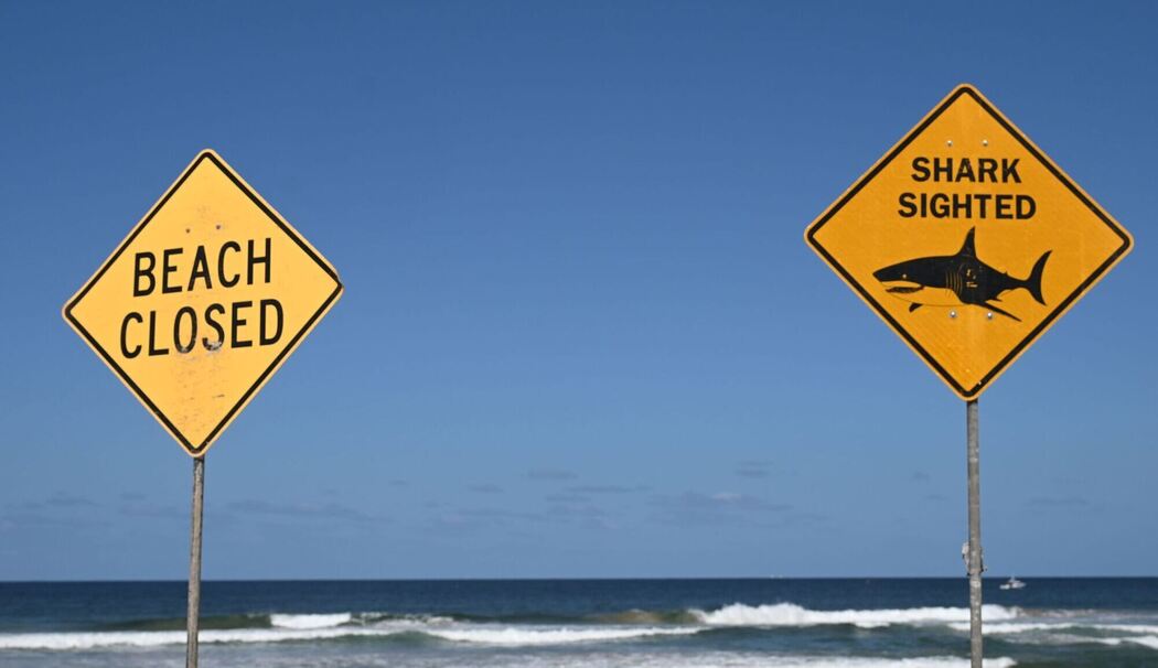 Tödlicher Hai-Angriff vor australischer Ostküste Tödlicher Hai-Angriff vor australischer Ostküste