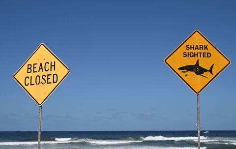 Tödlicher Hai-Angriff vor australischer Ostküste