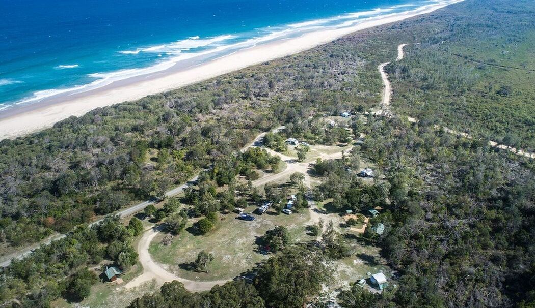 Haiattacke in Australien Haiattacke in Australien