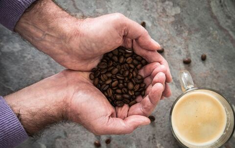 Ein Mann hält Kaffeebohnen in den Händen