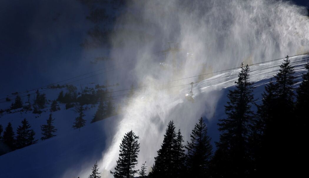 Birkhuhn in Gefahr? LBV macht Front gegen Liftbau im Allgäu Birkhuhn in Gefahr? LBV macht Front gegen Liftbau im Allgäu