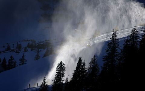 Birkhuhn in Gefahr? LBV macht Front gegen Liftbau im Allgäu