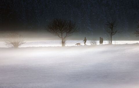 Abendliche Winterlandschaft