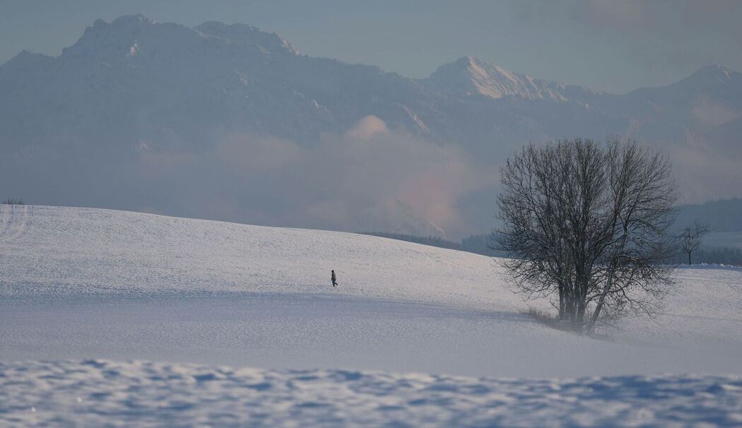 Abendliche Winterlandschaft