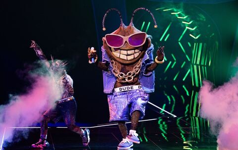 „The Masked Singer“