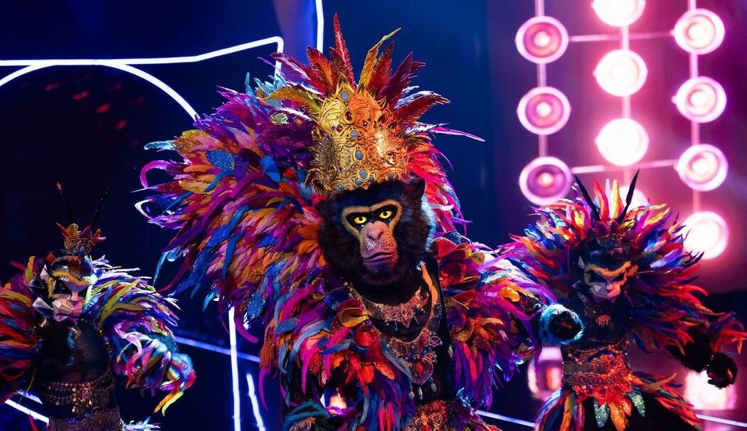 „The Masked Singer“ „The Masked Singer“