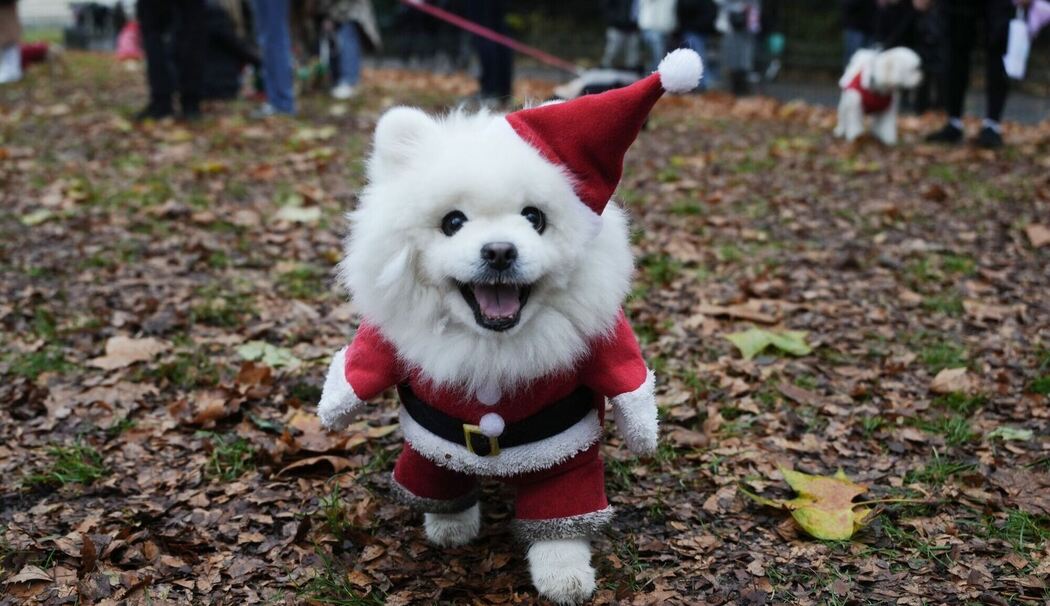Weihnachtspulli-Parade in London