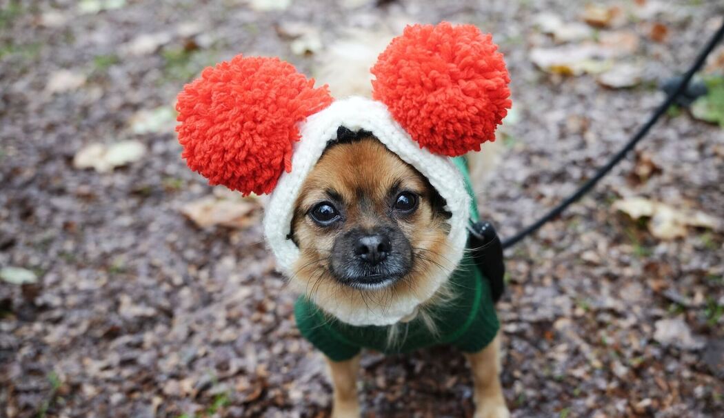 Weihnachtspulli-Parade in London