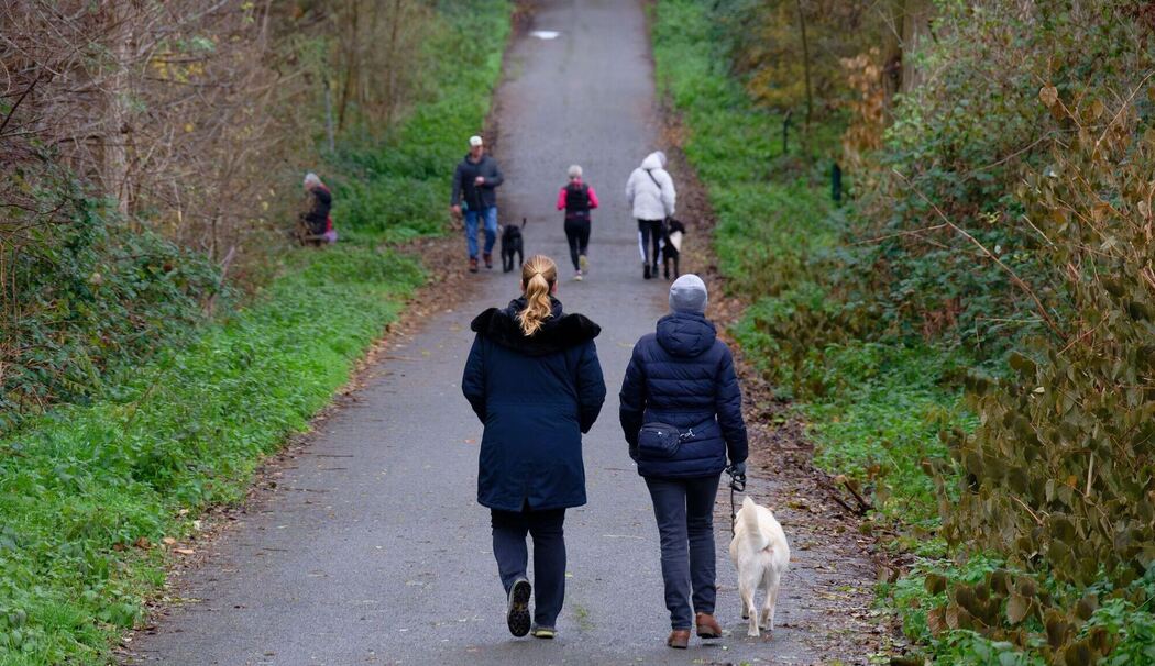 Wetterausblick zum Start in die neue Woche